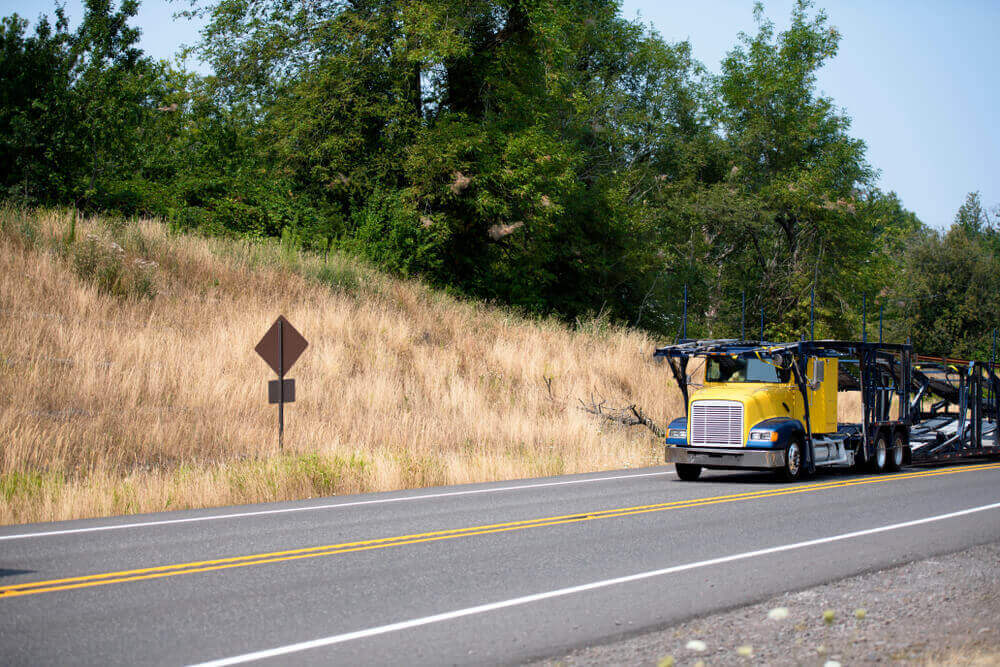 Professional Vehicle Shipping Company
